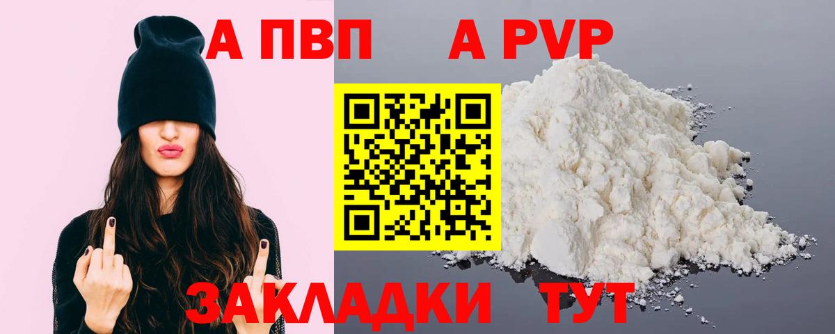 A PVP СК Сунжа