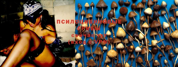 таблы Новозыбков