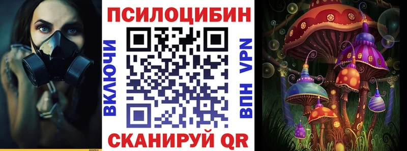 как найти закладки Сунжа Галлюциногенные грибы Psilocybe