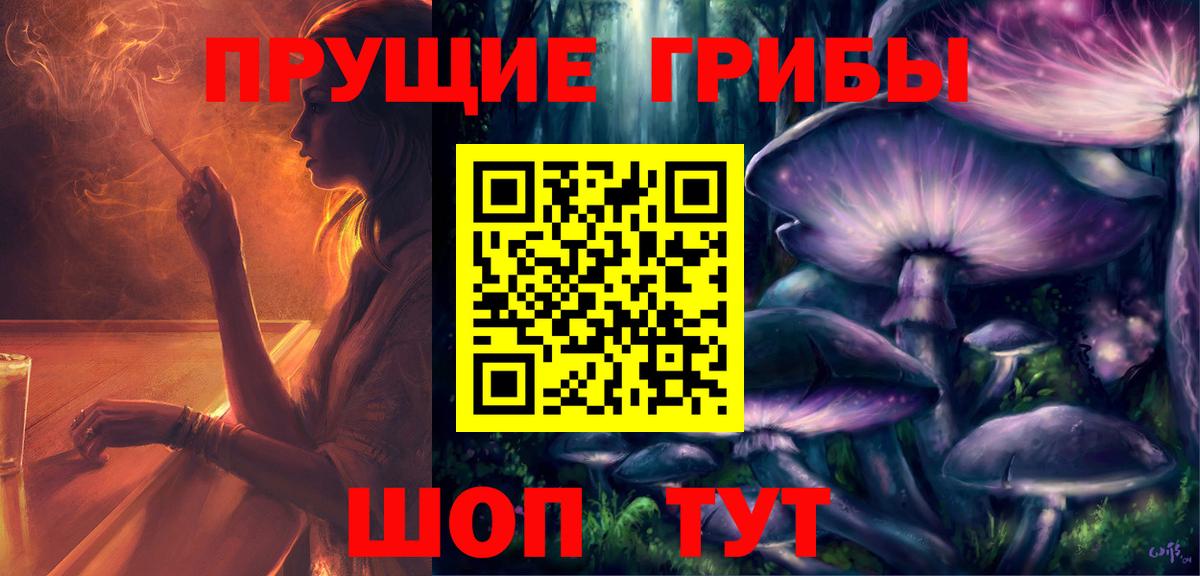 Сунжа  Псилоцибиновые грибы мицелий  Вход с VPN 